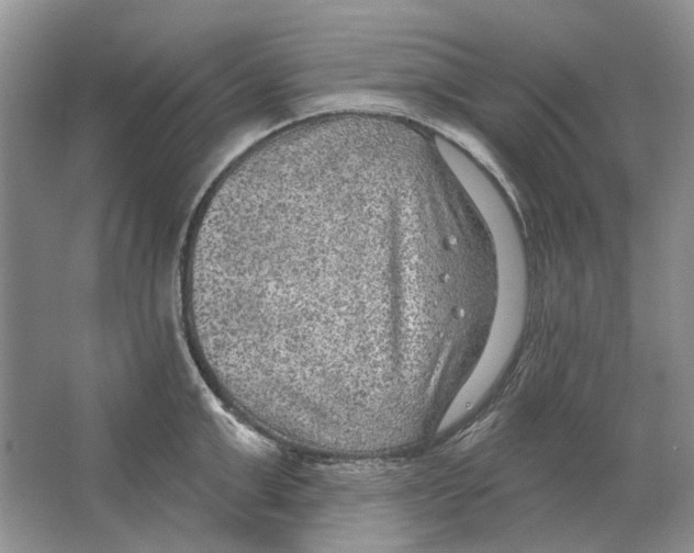 X0000063450999200602171853