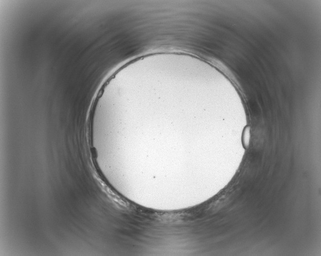 X0000063451004200602171853