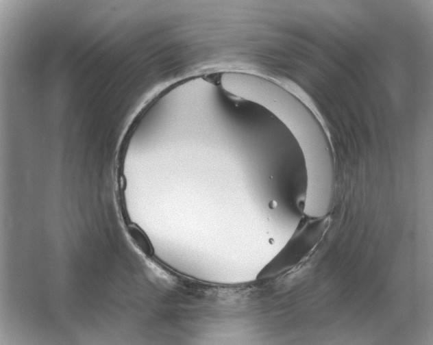 X0000063451005200602171853