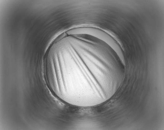 X0000063451006200602171853