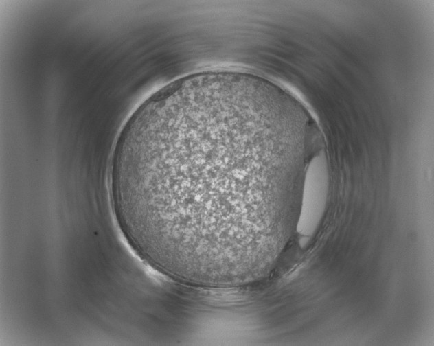 X0000063451007200602171853