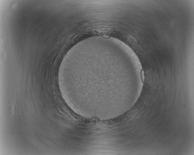 X0000063451009200602171852