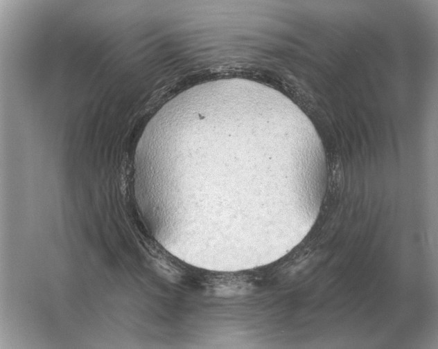 X0000063451012200602171852