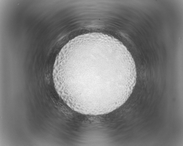 X0000063451015200602171852