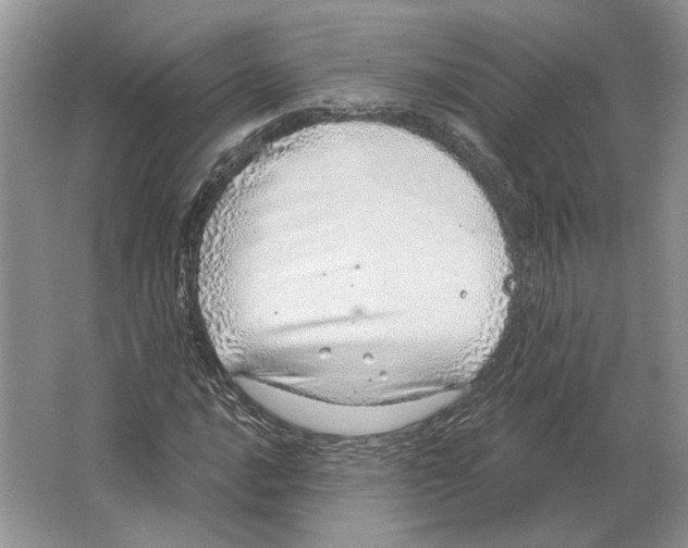 X0000063451016200602171852