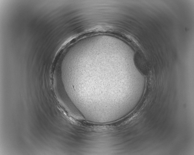 X0000063451018200602171852