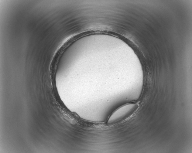 X0000063451022200602171852