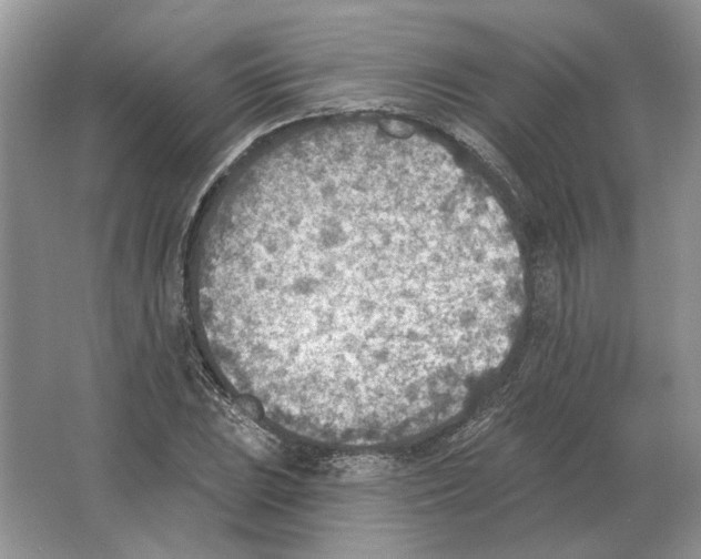 X0000063451023200602171852