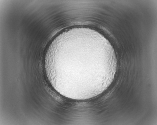 X0000063451025200602171852