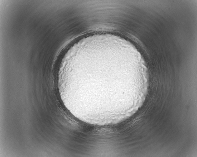 X0000063451027200602171852