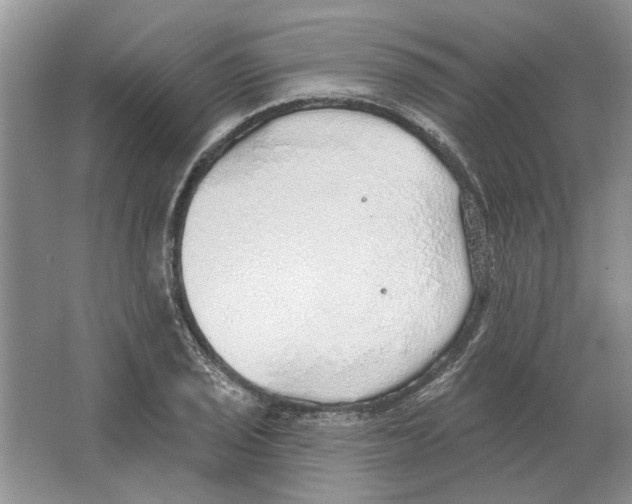 X0000063451029200602171852