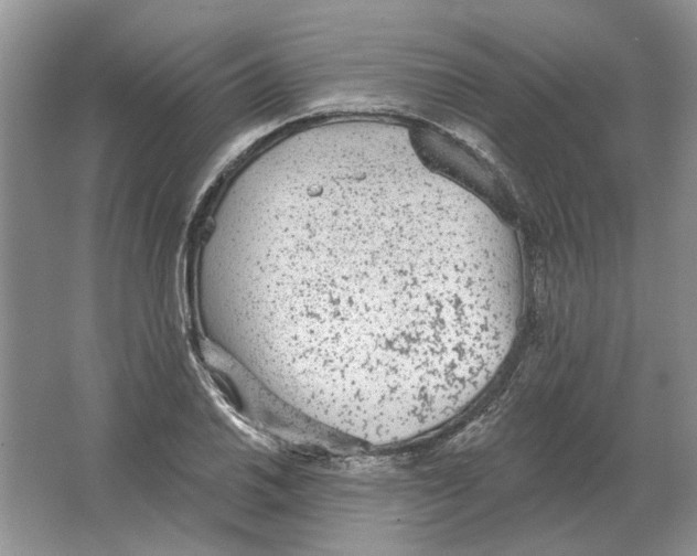 X0000063451030200602171852