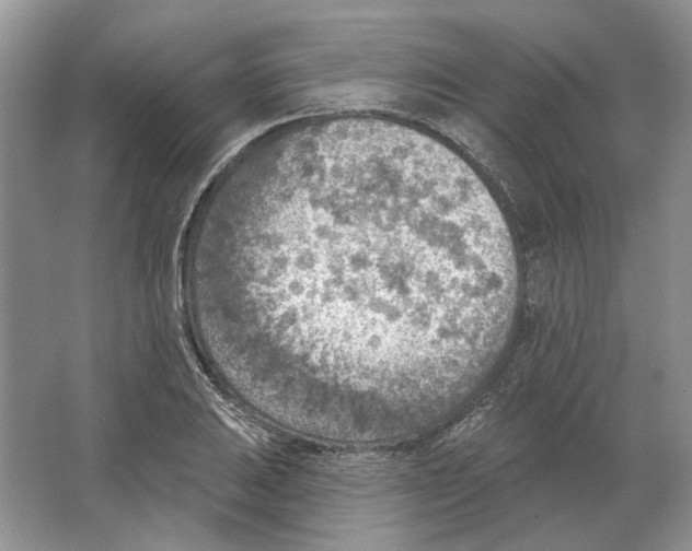 X0000063451031200602171852