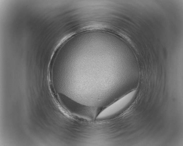 X0000063451034200602171852