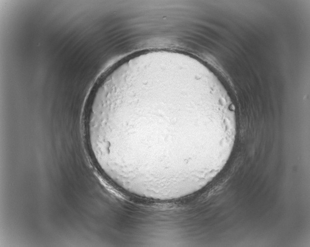 X0000063451037200602171852