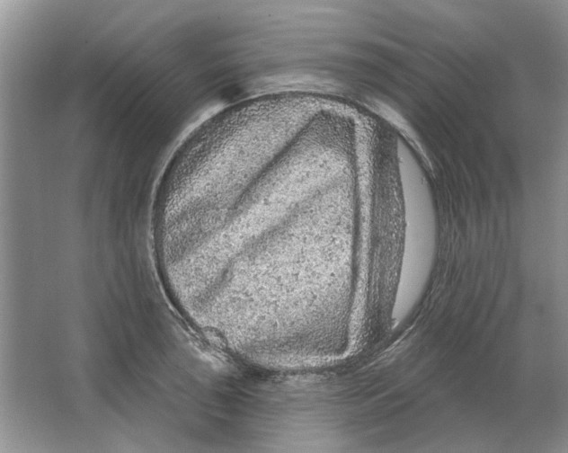 X0000063451043200602171852