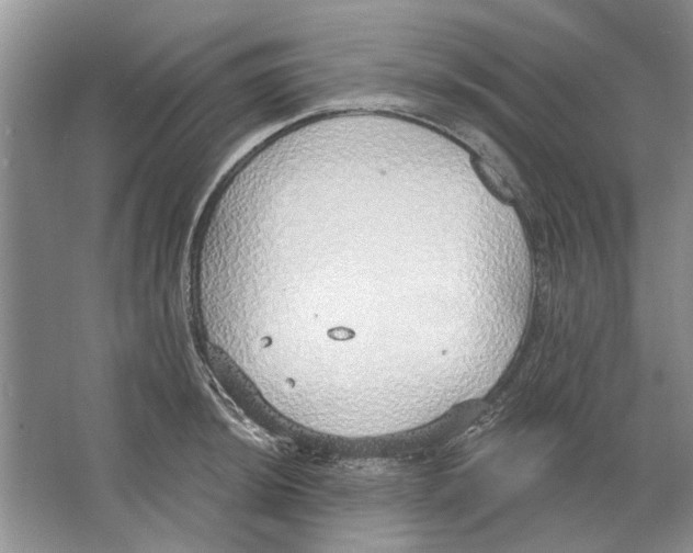 X0000063451044200602171852