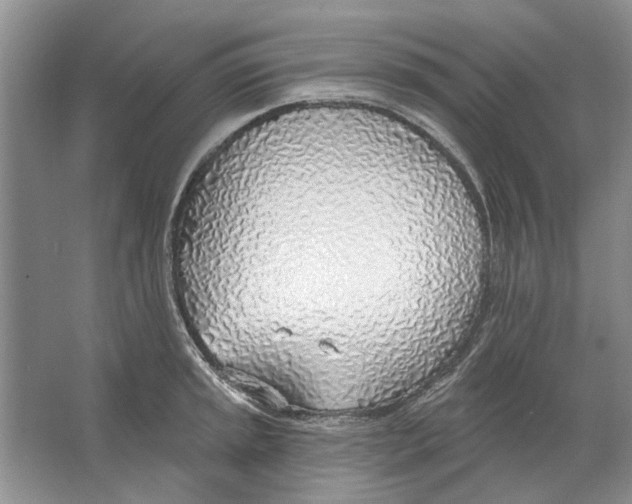 X0000063451045200602171852