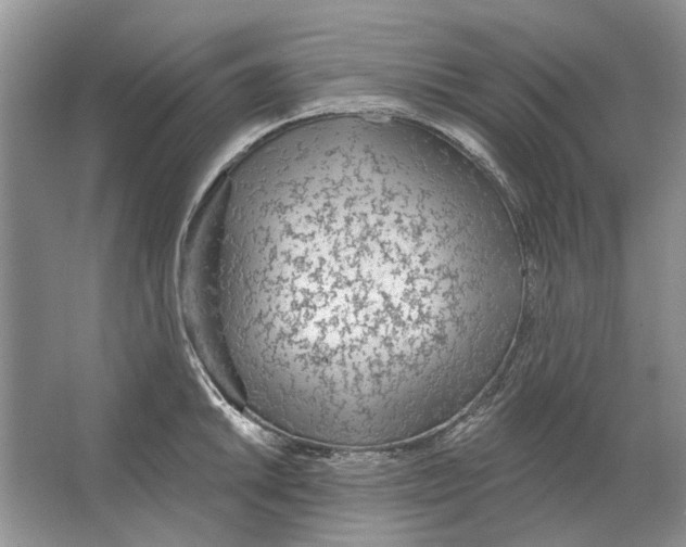 X0000063451046200602171852