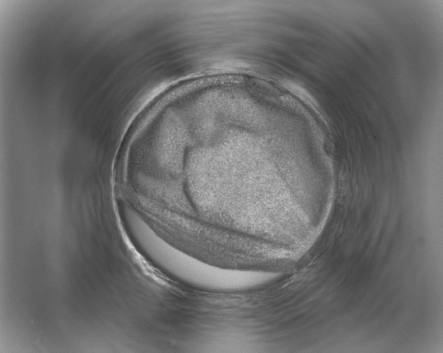 X0000063451047200602171852