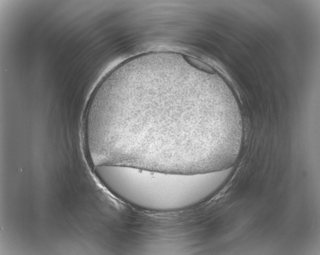 X0000063451048200602171852