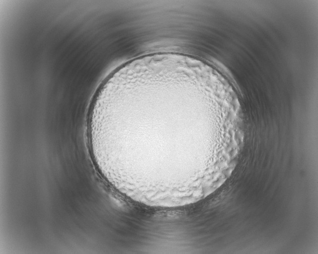 X0000063451051200602171853