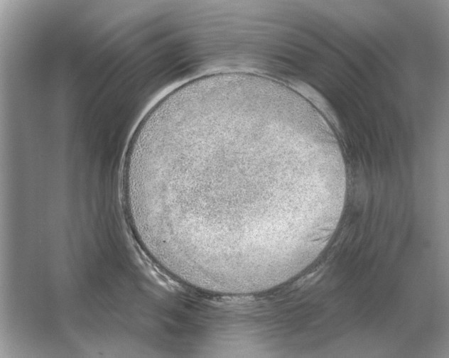 X0000063451052200602171853