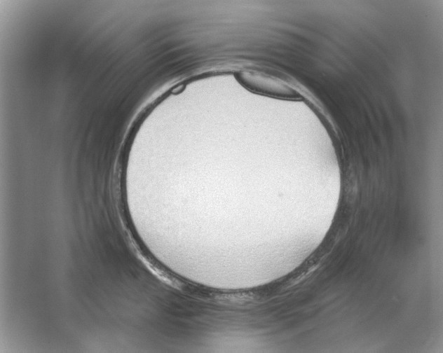 X0000063451053200602171853