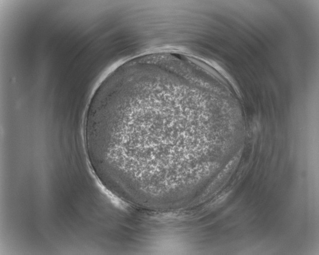 X0000063451054200602171853