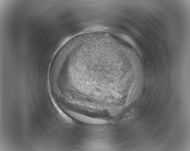 X0000063451055200602171853