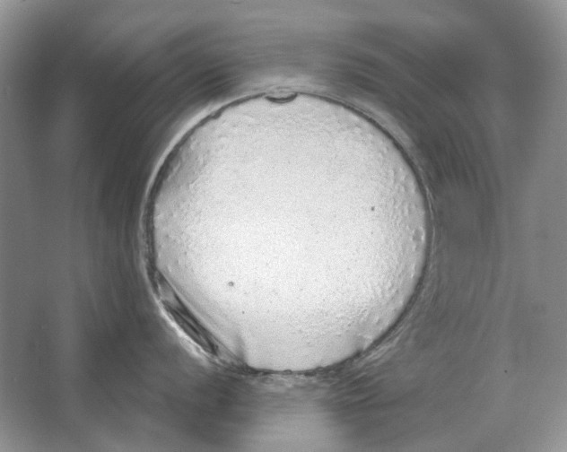 X0000063451056200602171853