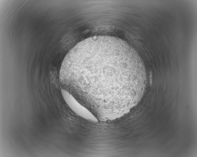 X0000063451059200602171852