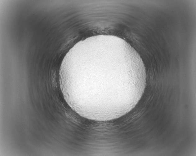 X0000063451060200602171852