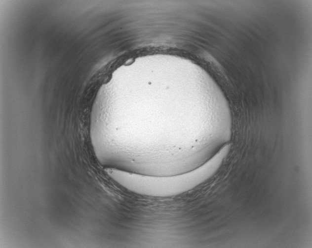 X0000063451064200602171852