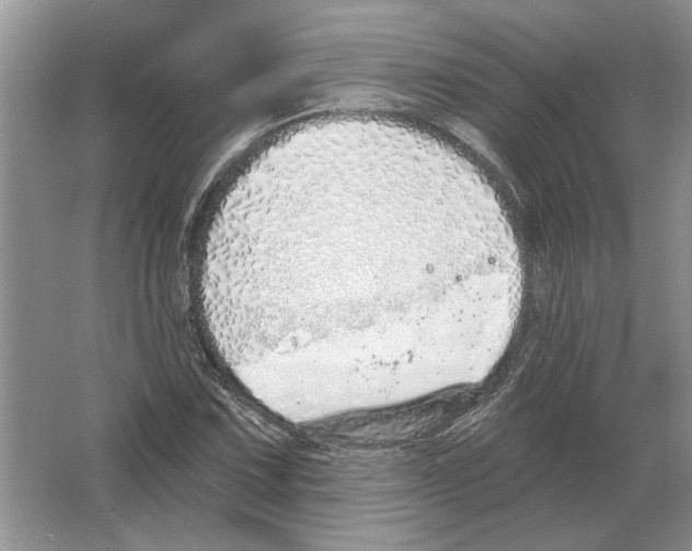 X0000063451067200602171852