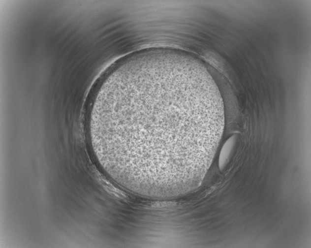 X0000063451068200602171852