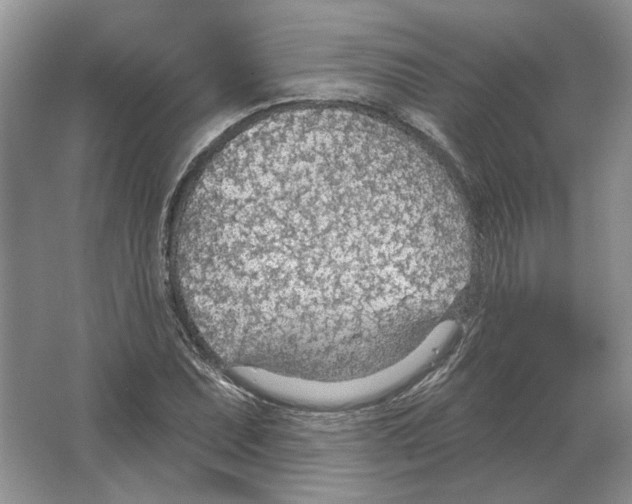 X0000063451071200602171852