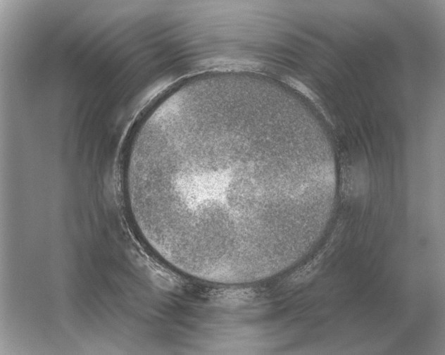 X0000063451074200602171851