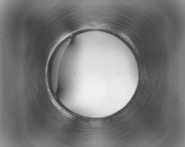 X0000063451080200602171851