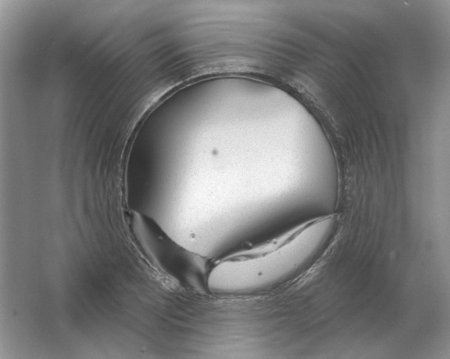 X0000063451081200602171851