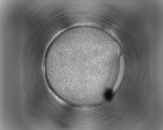 X0000063451084200602171851