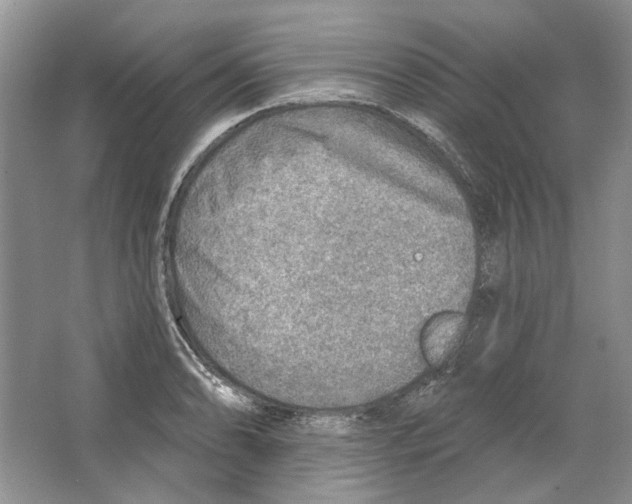 X0000063451086200602171851