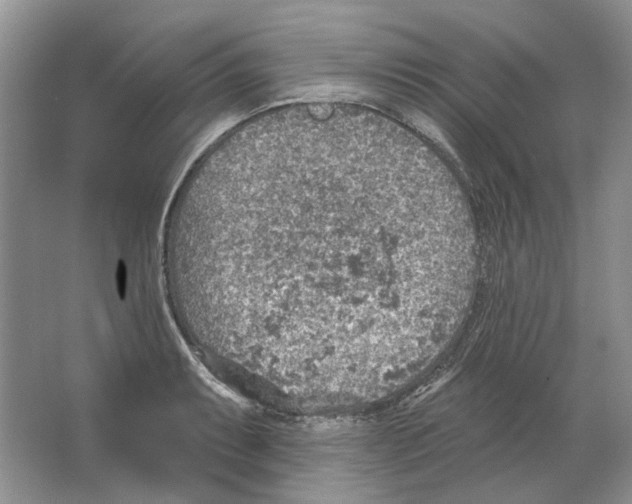 X0000063451087200602171851