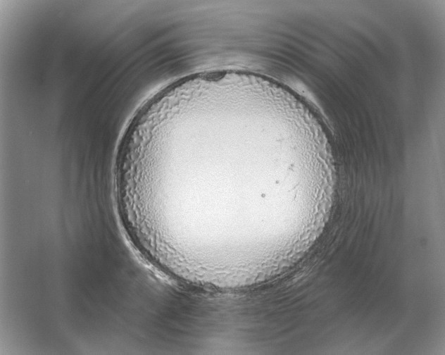 X0000063451088200602171851