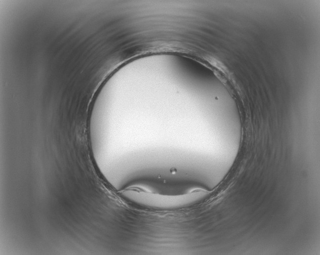 X0000063451089200602171851