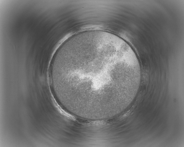 X0000063451090200602171851