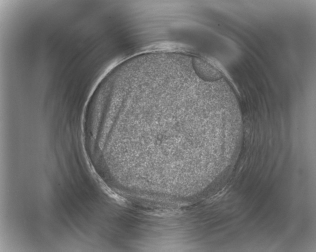 X0000063451091200602171851