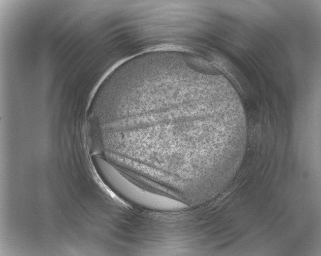 X0000063451092200602171851