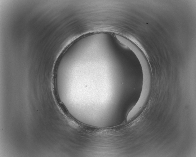 X0000063451093200602171851