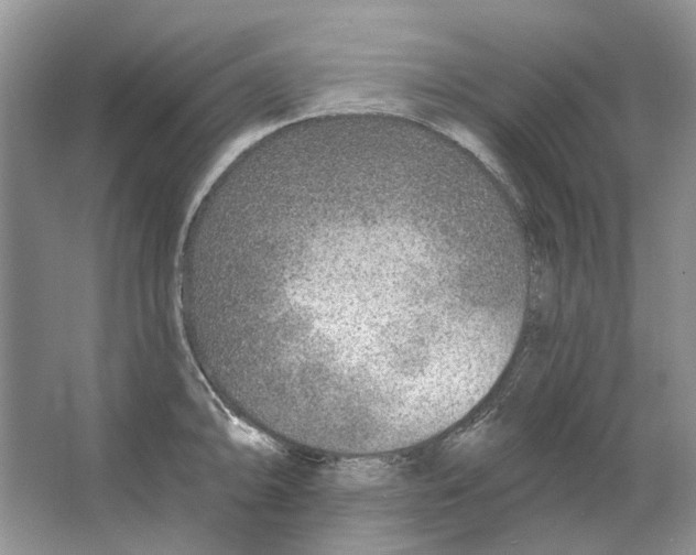 X0000063451094200602171851